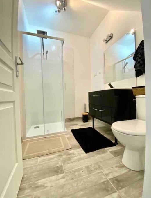 Appartement Centre Ville Saint-Amand-Mont-Rond Exterior foto